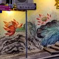 IMG_20240604_160259305-2