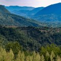 DSC_0544-2